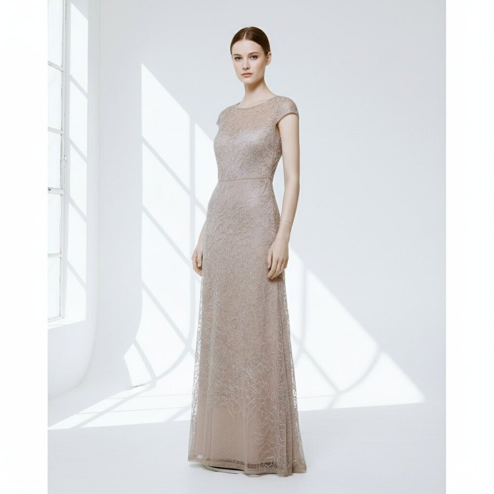 NWT JS Collections Formal A-Line Embroidered Sheer Evening Maxi Gown Tan Women 2